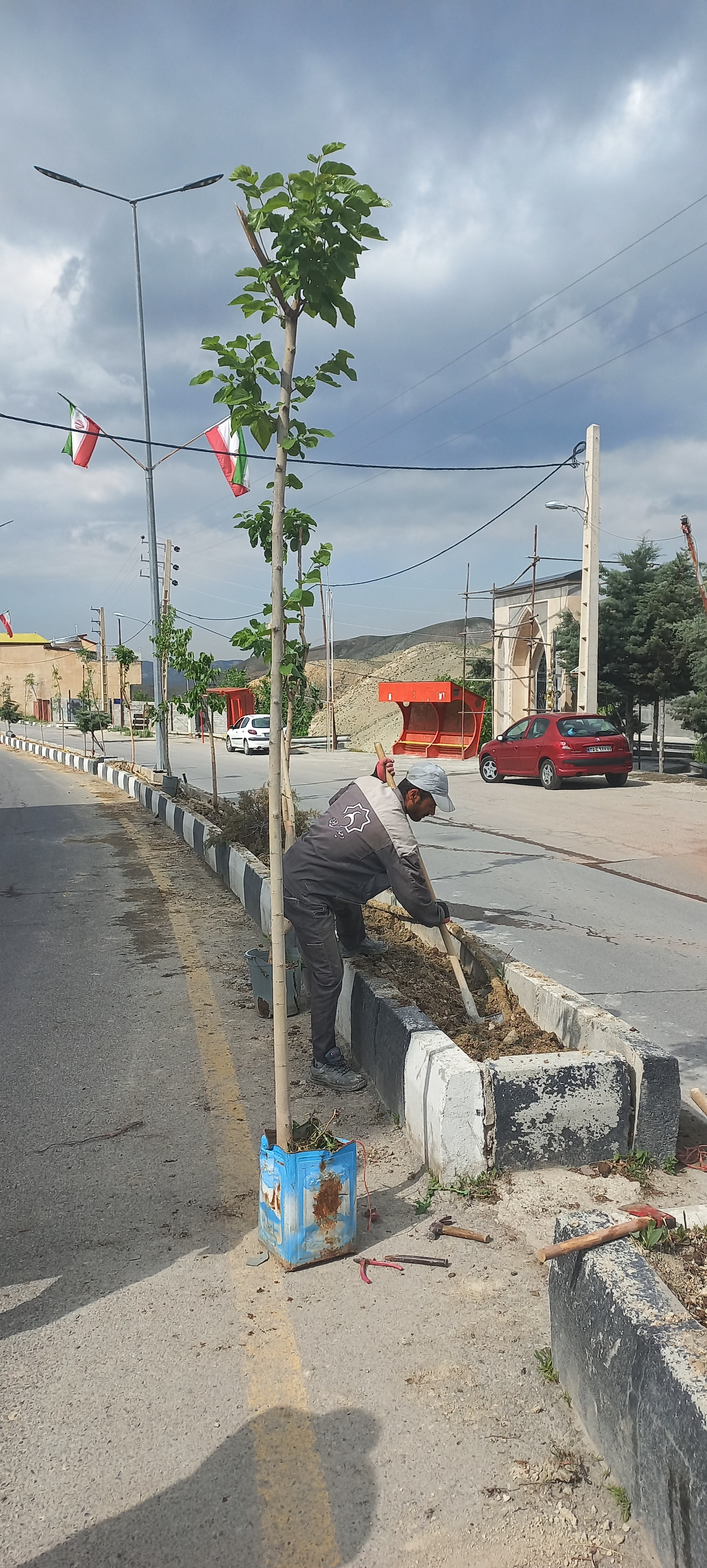 کاشت بیش از 100 اصله درخت در روستای انباج